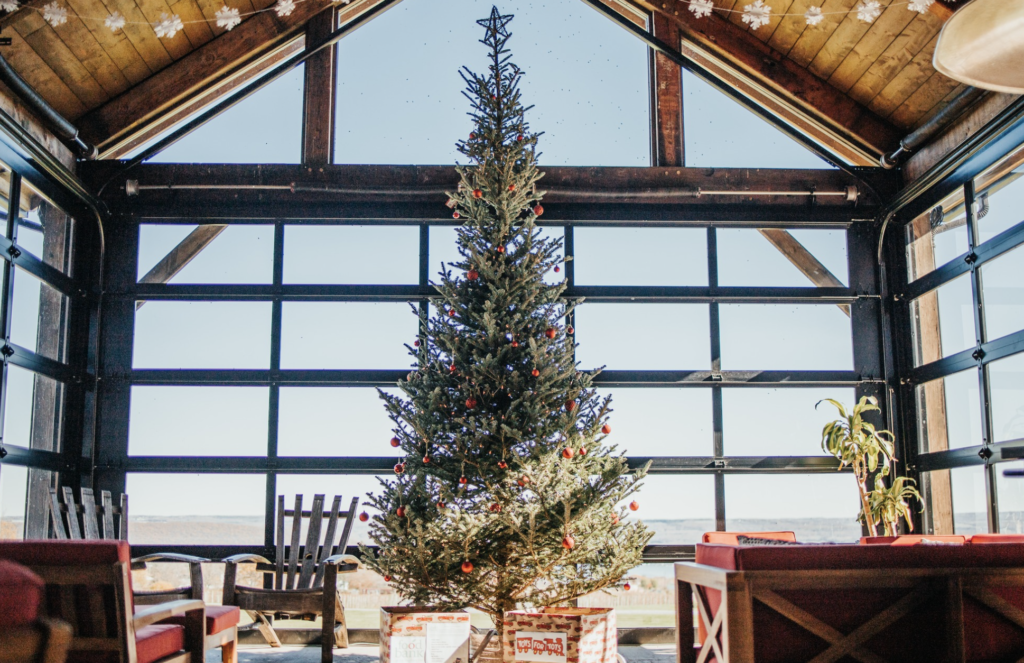 christmas tree, christmas, tree, pavilion, lights, windows