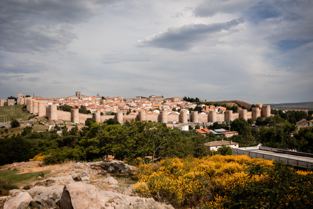 Spain 7